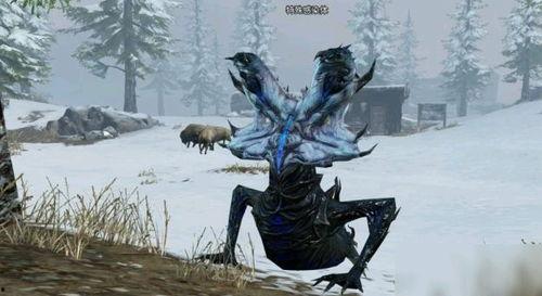 白树最新爆料视频,神秘事件背后的惊人真相